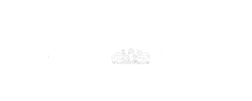 Daily Mail logo in white Gothic-style text with a small royal emblem on a black background.